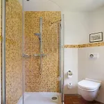 5 Sterne Reetdachhaus Wildroeschen Casa vacanze Zirkow