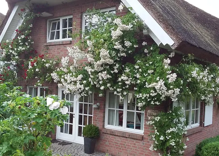 Дом отдыха 5 Sterne Reetdachhaus Wildroeschen *